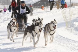 Lenk 2012 SM